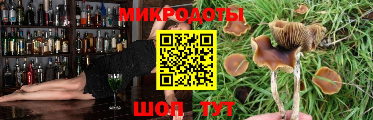Псилоцибиновые грибы Psilocybine cubensis Сызрань