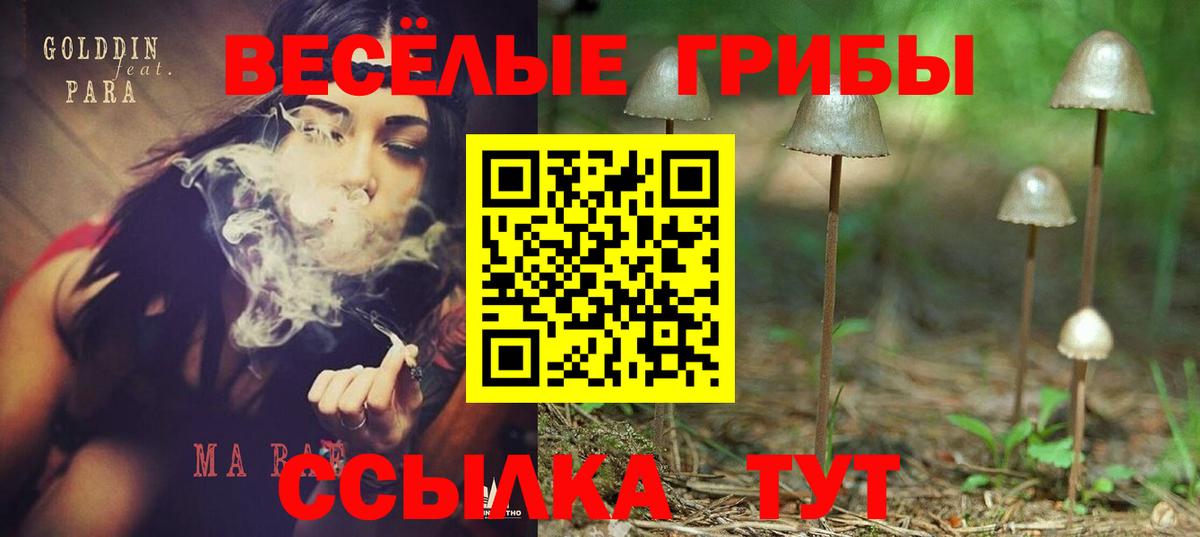 Псилоцибиновые грибы MAGIC MUSHROOMS  Вход с VPN  Галлюциногенные грибы мухоморы  Сызрань 