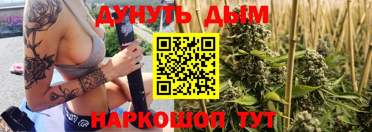 Бошки Шишки планчик  Бошки Шишки гибрид  Сызрань  Вход с VPN  Шишки марихуана Bruce Banner  Канабис конопля 
